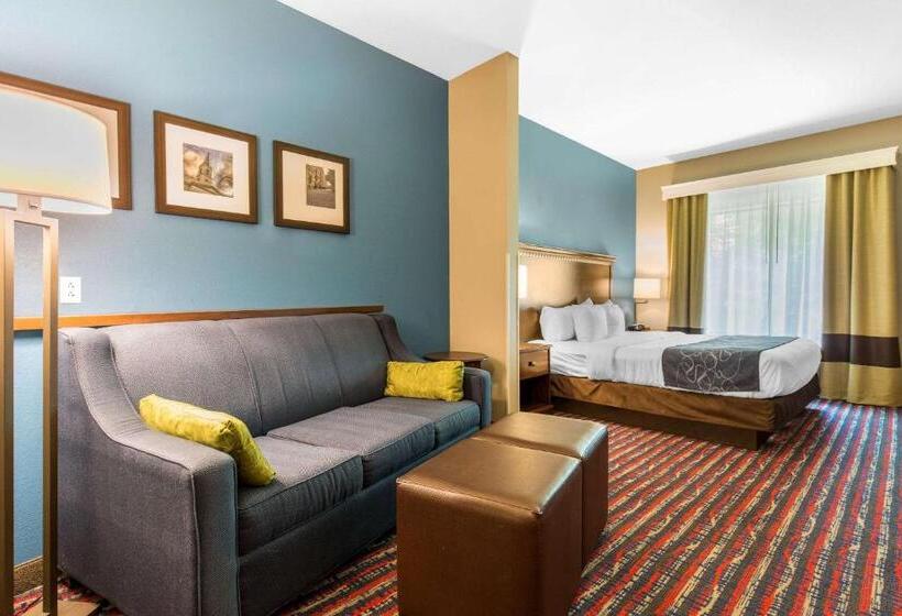 Люкс Адаптированный для Инвалидов, Comfort Suites