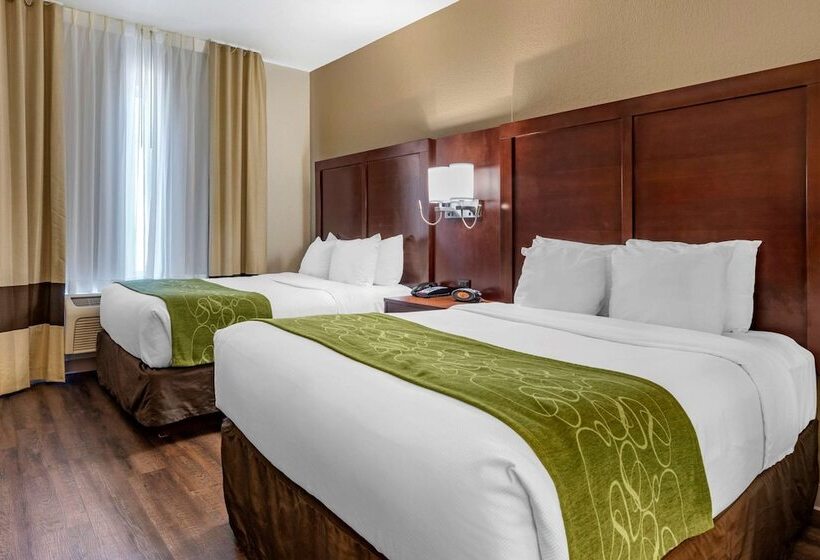 套房, Comfort Suites Fernley