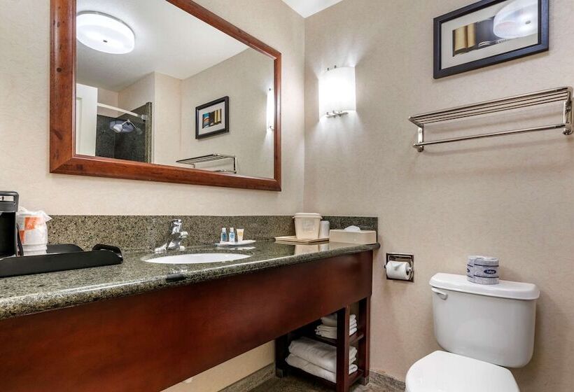 适合残疾人士使用的套间, Comfort Suites Fernley