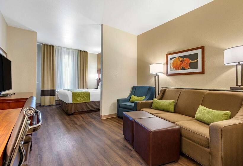 套房, Comfort Suites Fernley