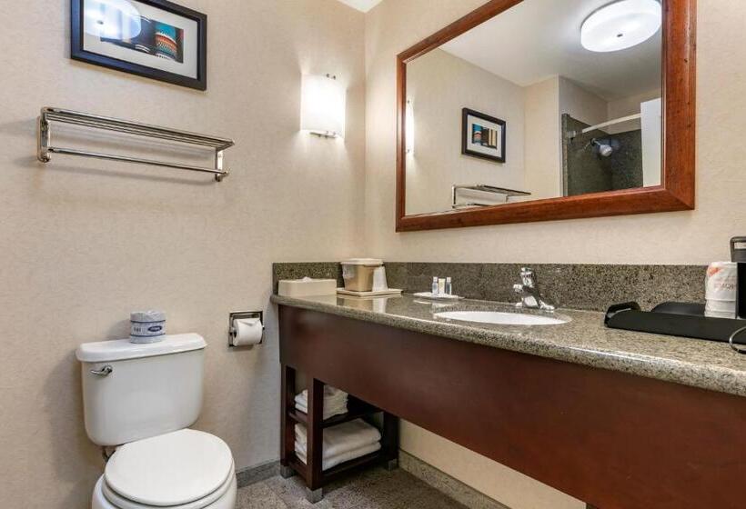 小型套房, Comfort Suites Fernley