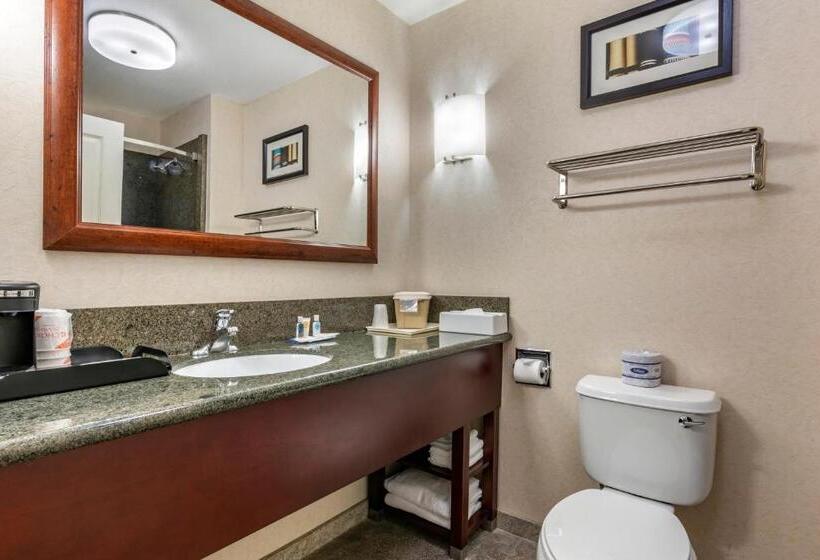 套房, Comfort Suites Fernley