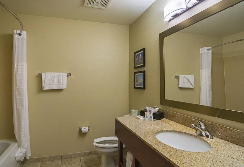 Suíte, Comfort Suites Grayslake Near Libertyville North