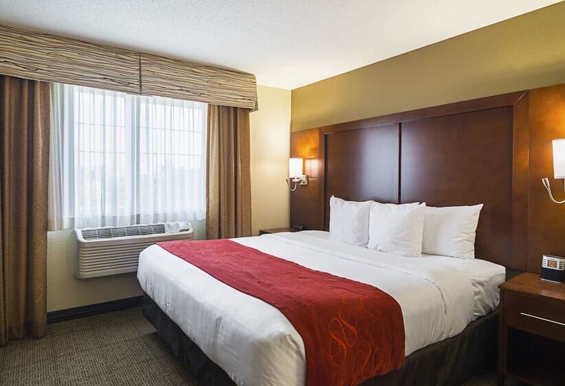 スイート, Comfort Suites Grayslake Near Libertyville North
