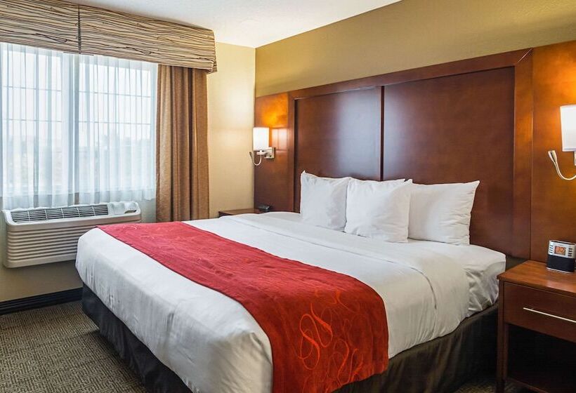 Suíte, Comfort Suites Grayslake Near Libertyville North