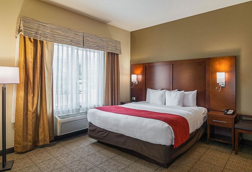 スイート, Comfort Suites Grayslake Near Libertyville North