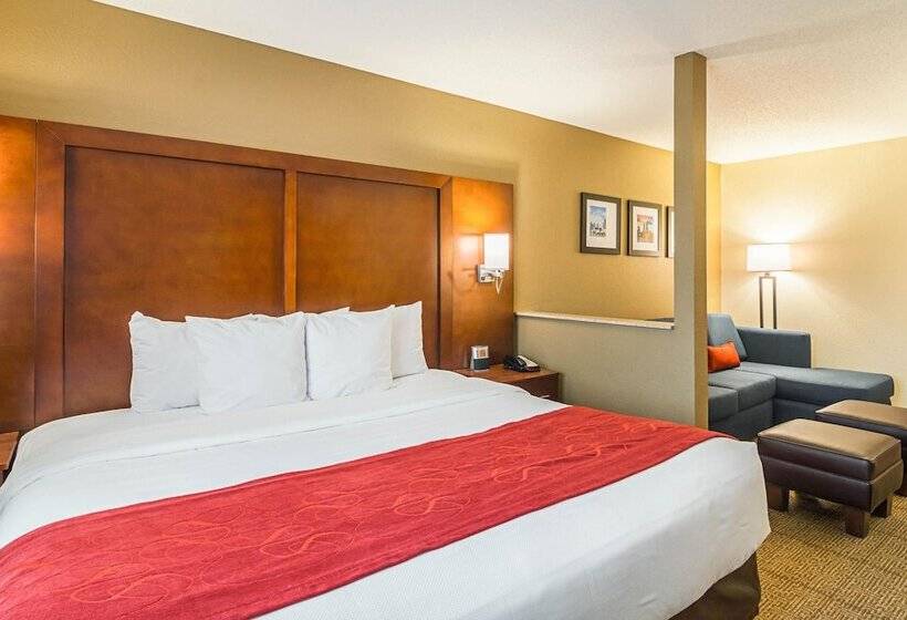 Suíte, Comfort Suites Grayslake Near Libertyville North