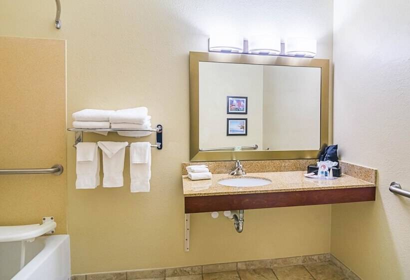 身障者適用スイートルーム, Comfort Suites Grayslake Near Libertyville North