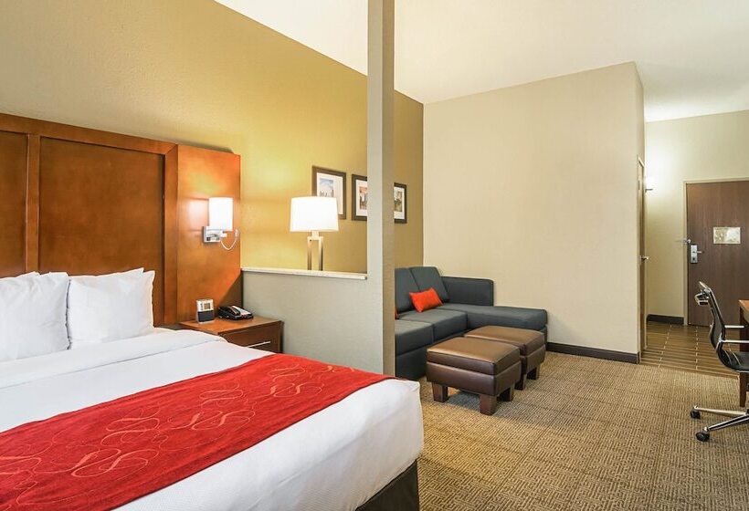 Suíte para Deficientes Físicos, Comfort Suites Grayslake Near Libertyville North