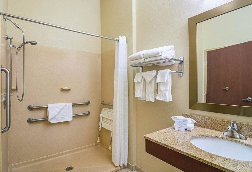 身障者適用スイートルーム, Comfort Suites Grayslake Near Libertyville North