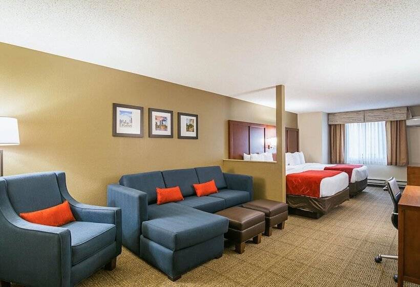 身障者適用スイートルーム, Comfort Suites Grayslake Near Libertyville North