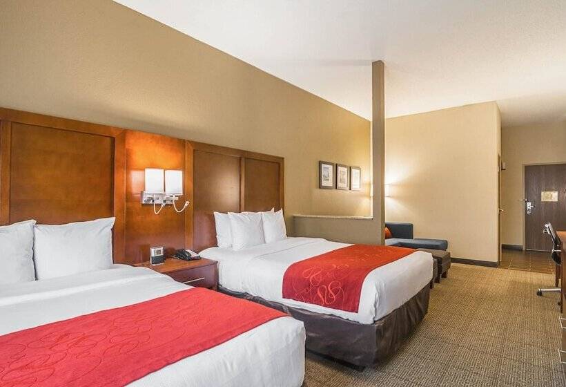 Suíte para Deficientes Físicos, Comfort Suites Grayslake Near Libertyville North