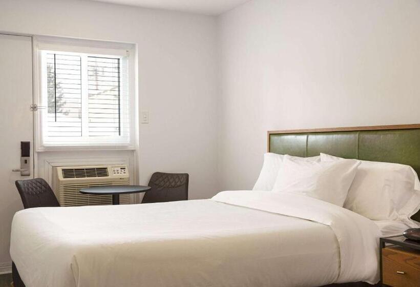 스탠다드 룸, Econo Lodge Inn & Suites
