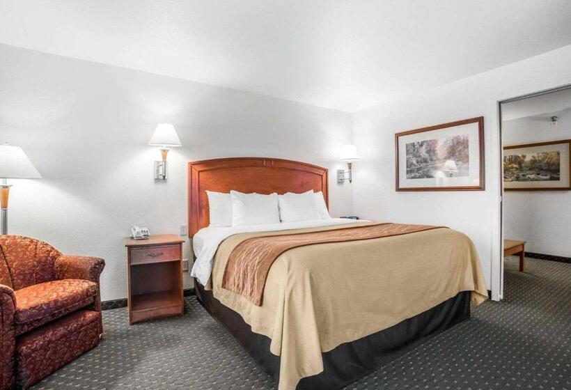 Номер Стандарт Кровать Кинг Адаптированный для Инвалидов, Comfort Inn & Suites