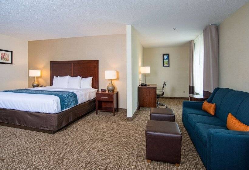 Номер Стандарт, Comfort Inn Naugatuck Shelton, Ct