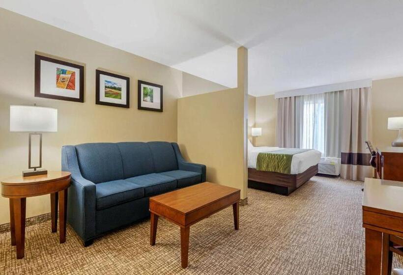 Люкс Кровать Кинг, Comfort Inn Ploverstevens Point