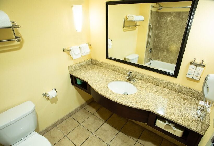 스탠다드 룸 더블 침대 2개, Holiday Inn Express Harrisburg West, An Ihg