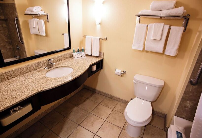 스위트, Holiday Inn Express Harrisburg West, An Ihg