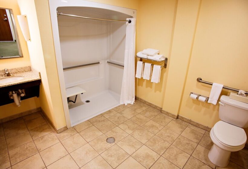 스위트, Holiday Inn Express Harrisburg West, An Ihg