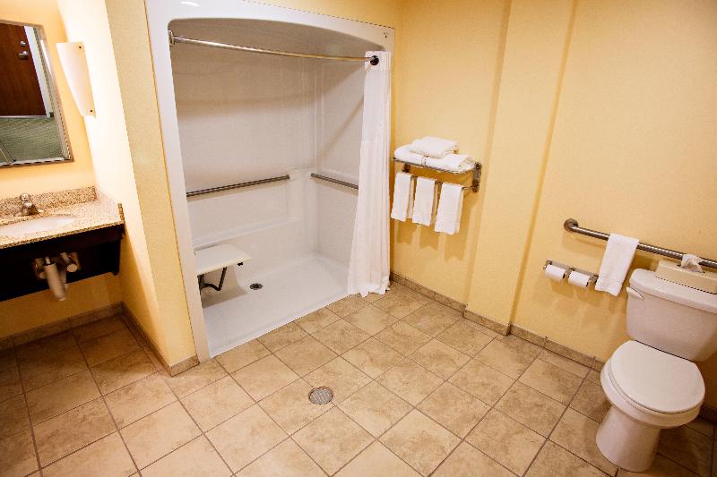 스탠다드 룸 킹사이즈 침대, Holiday Inn Express Harrisburg West, An Ihg