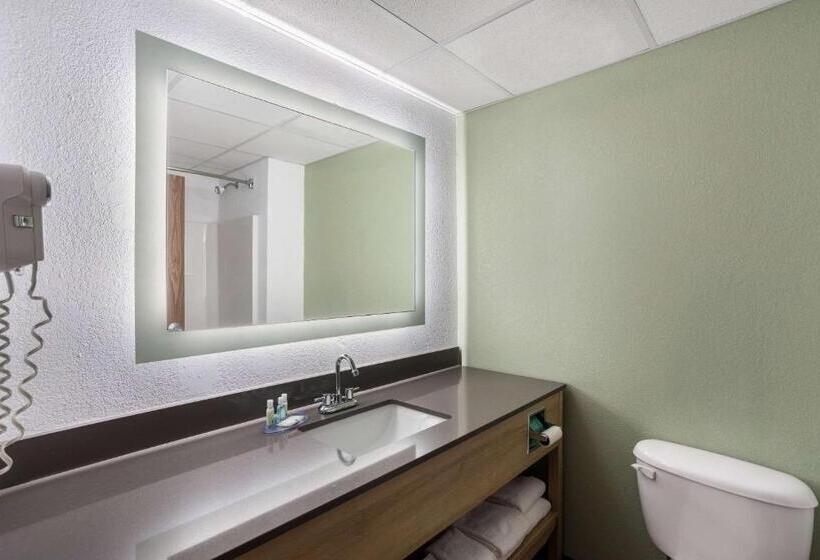 Quarto Estandar, Quality Inn & Suites