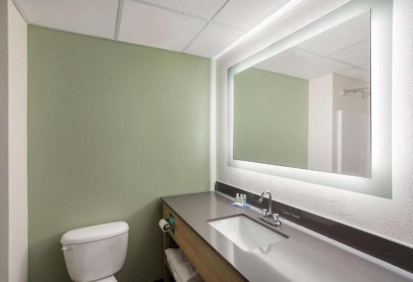 장애인을 위한 킹사이즈 침대 스탠다드 룸, Quality Inn & Suites