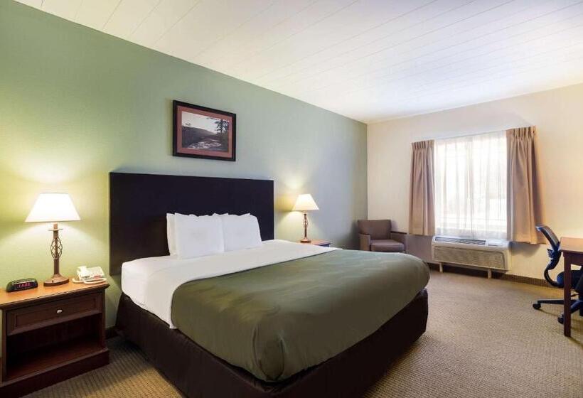 Suíte Cama King, Quality Inn & Suites
