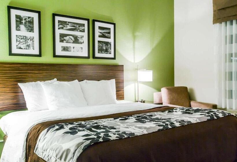 스탠다드 룸 킹사이즈 침대, Sleep Inn & Suites Marion  Military Institute