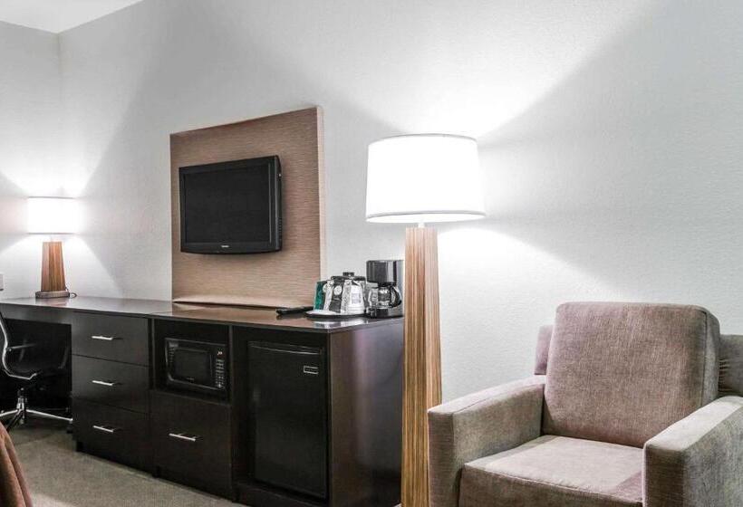 스위트 킹사이즈 침대, Sleep Inn & Suites Marion  Military Institute