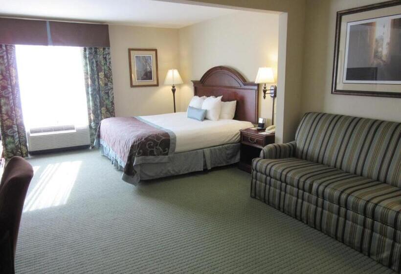 Standaardkamer met Kingsize Bed, Wingate By Wyndham Charleston Southern University