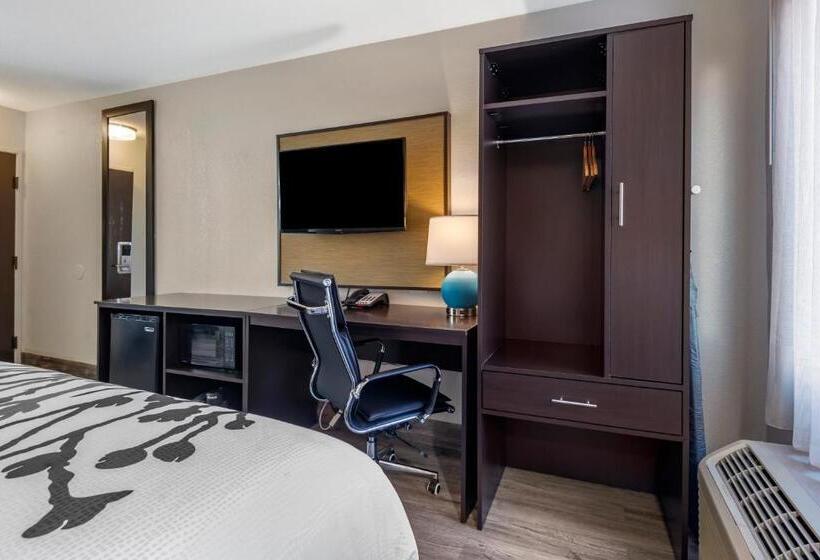 Номер Стандарт, Sleep Inn  Salisbury I85