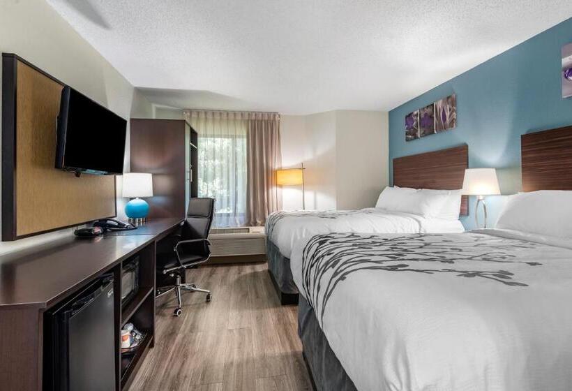 Номер Стандарт 2 Двуспальные Кровати, Sleep Inn  Salisbury I85