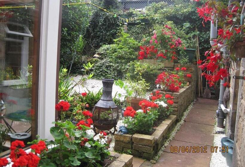 标准间, Amaryllis Guest House