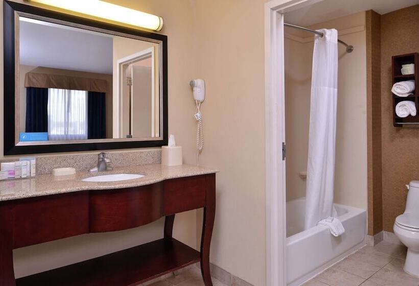 Студия Стандарт Двуспальная Кровать, Hampton Inn & Suites Woodward