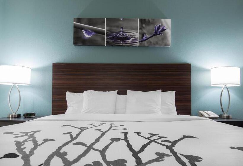 带大床的标准间, Sleep Inn & Suites Washington Near Peoria