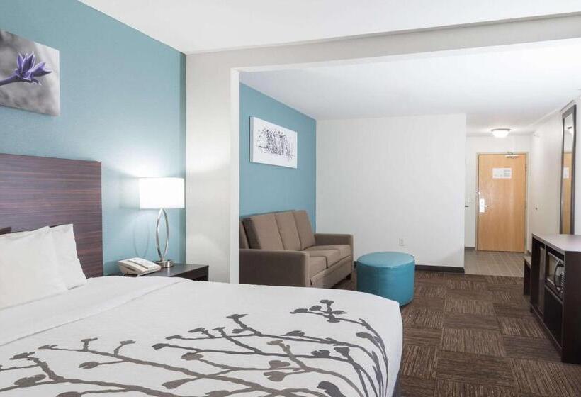 带大床的套房, Sleep Inn & Suites Washington Near Peoria