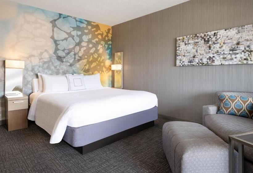 스탠다드 룸 킹사이즈 침대, Courtyard El Paso Airport