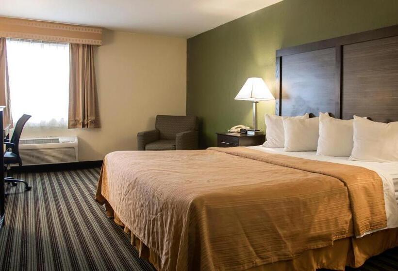 Quarto Estandar Cama King, Quality Inn & Suites Loves Park Near Rockford