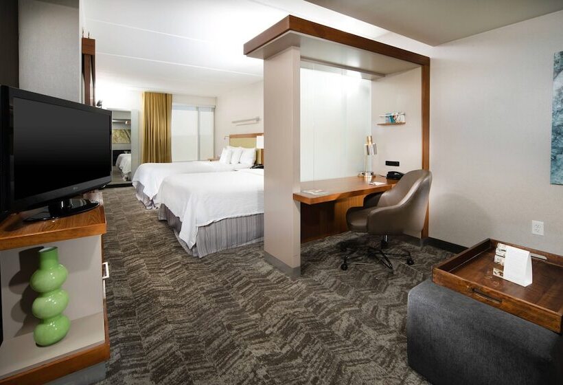 스탠다드 스튜디오, Springhill Suites By Marriott Philadelphia Valley Forge/king Of Prussia