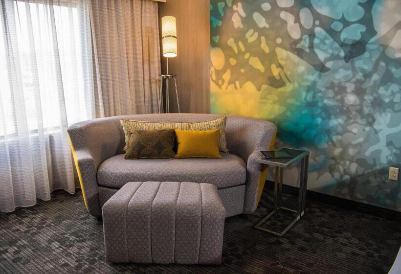 Стандартный Номер Кровать Кинг, Courtyard By Marriott Erie Ambassador Conference Center