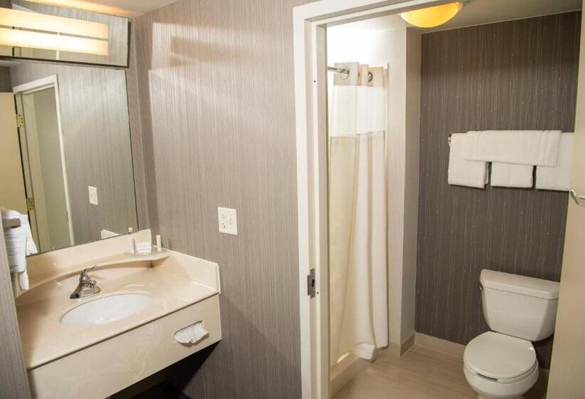 Люкс Deluxe Кровать Кинг, Courtyard By Marriott Erie Ambassador Conference Center