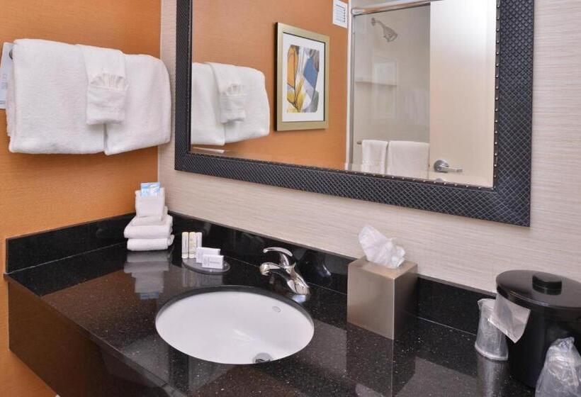 Стандартный Номер Кровать Кинг, Fairfield Inn Rochester Airport