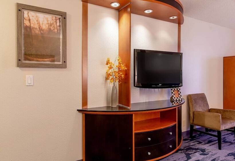Президентский Люкс, Fairfield Inn & Suites Minneapolis Eden Prairie
