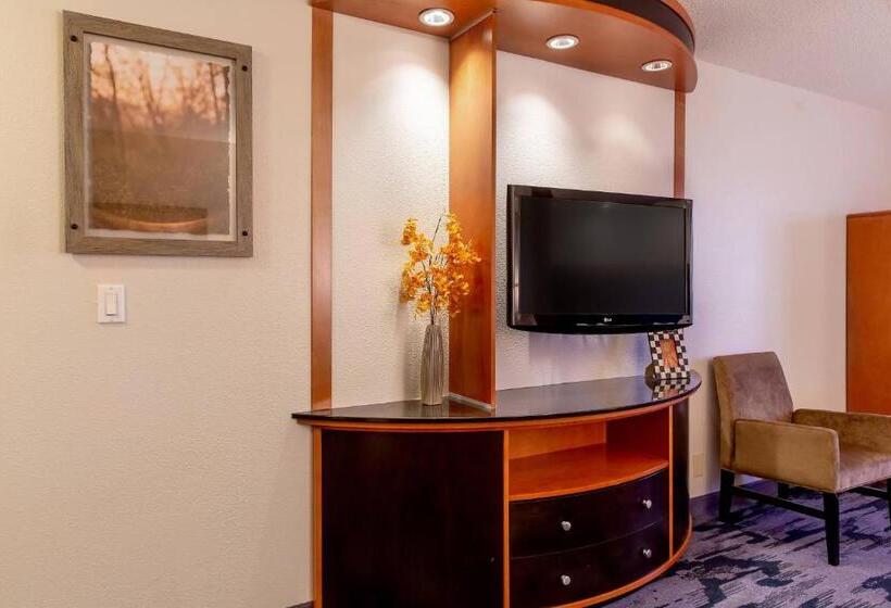 Президентский Люкс, Fairfield Inn & Suites Minneapolis Eden Prairie