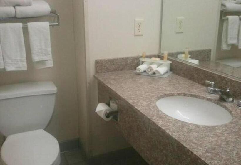 Стандартный Номер Кровать Кинг, Quality Inn & Suites Schoharie Near Howe Caverns
