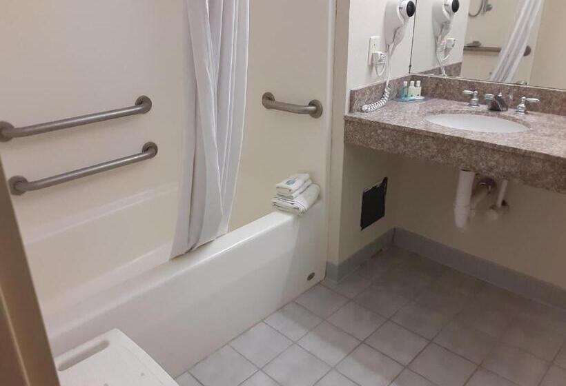 Номер Стандарт Кровать Кинг Адаптированный для Инвалидов, Quality Inn & Suites Schoharie Near Howe Caverns
