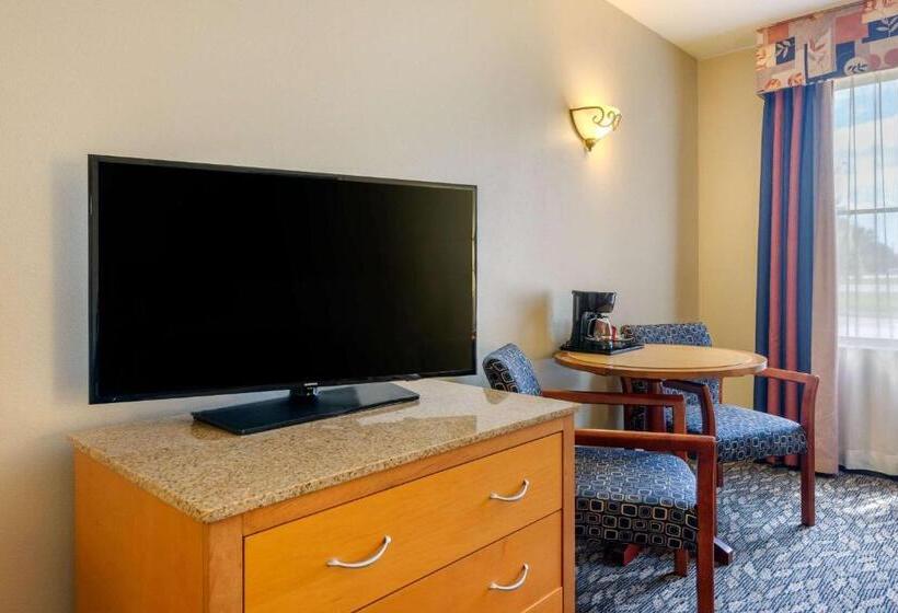 스탠다드 룸 킹사이즈 침대, Clarion Inn Ormond Beach At Destination Daytona