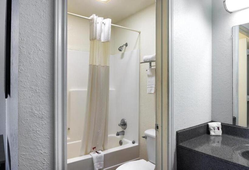 带大床的标准间, Country Hearth Inn & Suites San Antonio Medical Center