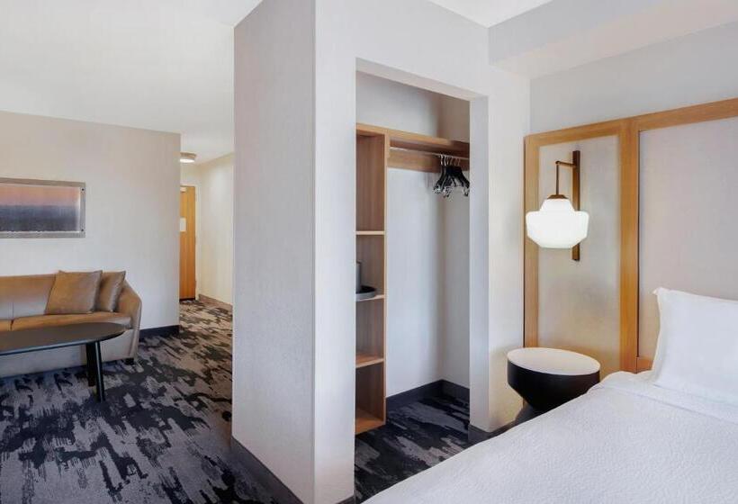 Студио Стандарт Кровать Кинг, Fairfield Inn & Suites By Marriott Greenwood