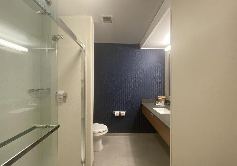 带大床的标准间, Fairfield Inn & Suites By Marriott Saratoga Malta